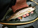 2007-04-22 042.JPG